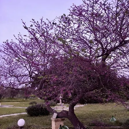 빌라 Casine Belvedere